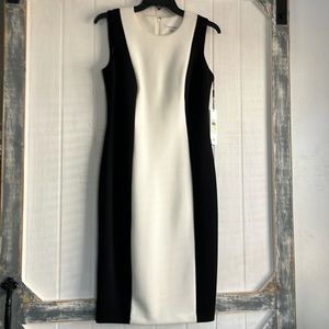 NWT Calvin Klein fitted black and white dress size 4